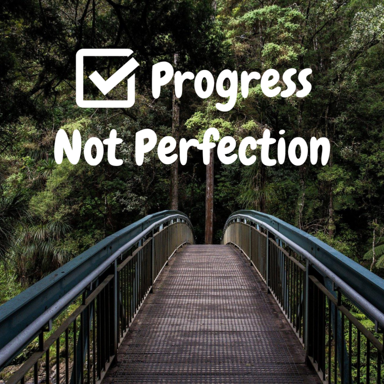 Read more about the article Progress Not Perfection